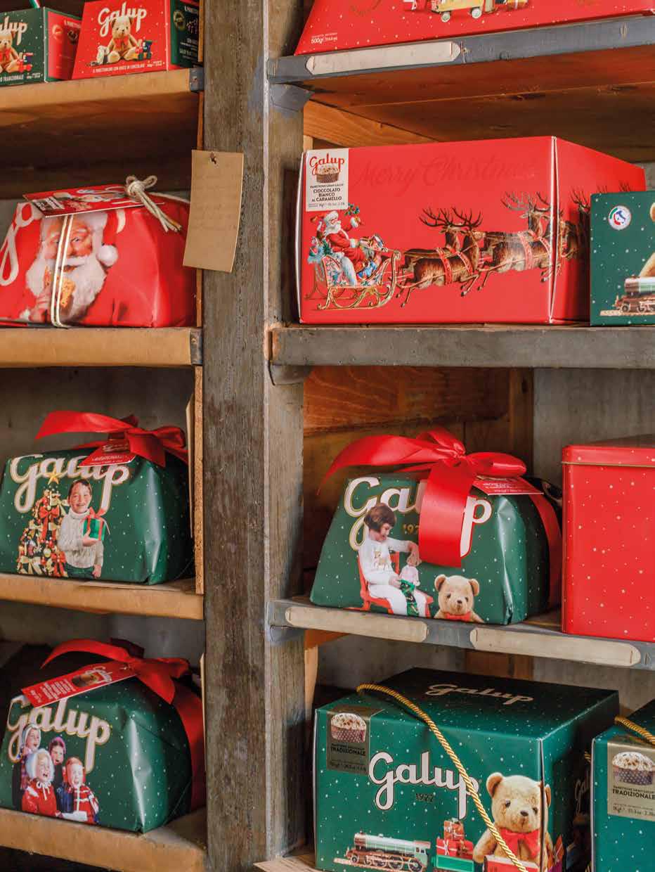 Gran Galup Panettone 500gr